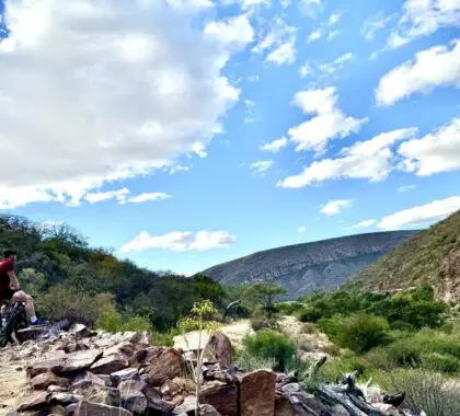 Set out on mountain biking trails. 