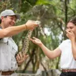 Visitez le parc des reptiles d'Ontouka et rencontrez des serpents.