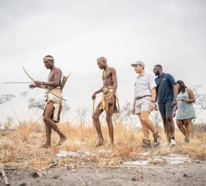Set out on guided walking safaris in the park. 
