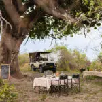 Lunch in the wilderness.