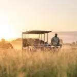 Goditi safari nel Sabi Sands.