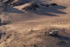 Desert game drives see you traversing the rugged landscape in search of wildlife sightings. 