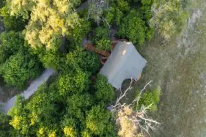 Each tent is tucked in between trees to extra privacy.
