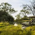 Enjoy game drives around the reserve.