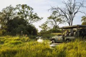 Enjoy game drives around the reserve.