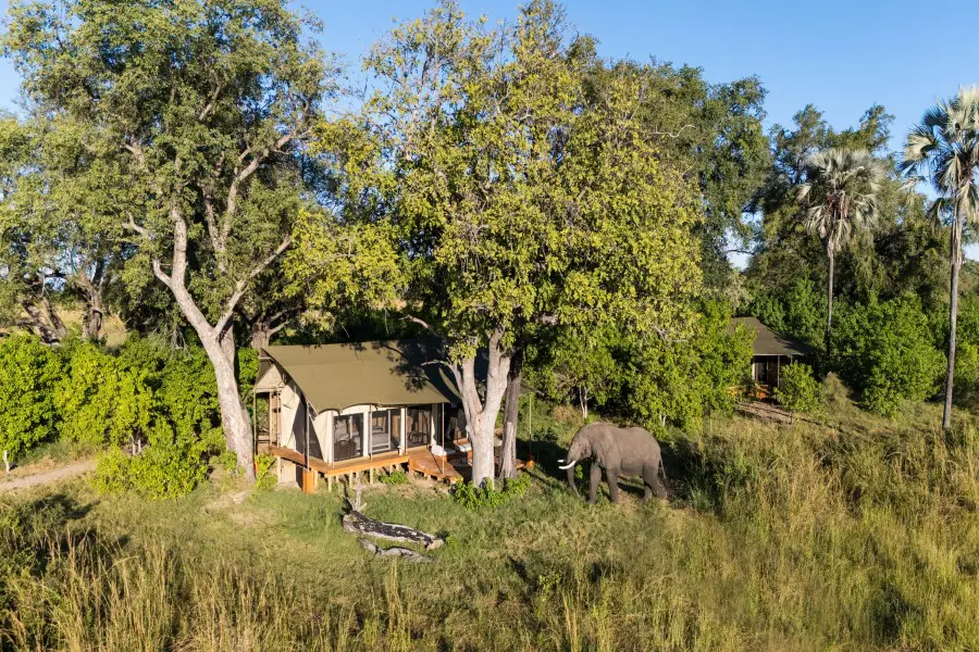 monachira-camp-luxury-tent-in-the-trees