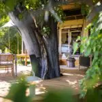 Savour private breakfasts on your deck.