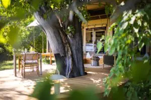 Savour private breakfasts on your deck. 
