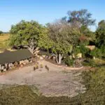 Monachira Camp is nestled on a wetlands island of Moremi Game Reserve.