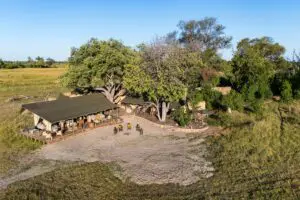 Monachira Camp is nestled on a wetlands island of Moremi Game Reserve.