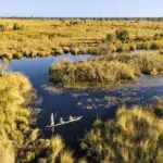 Mokoro trails are a great way to experience the Delta.