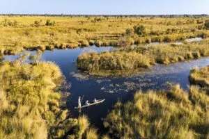 Mokoro trails are a great way to experience the Delta. 