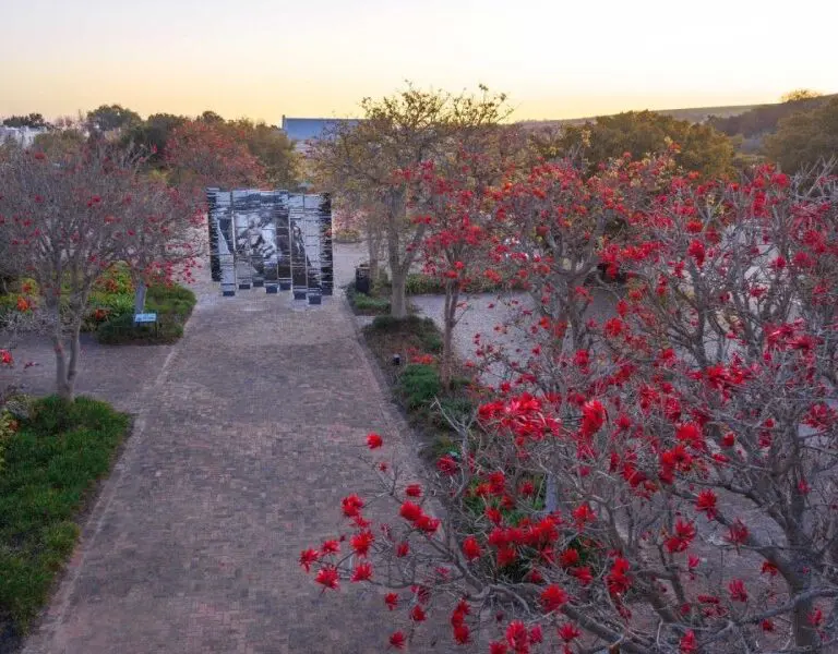 spier-hotel-art
