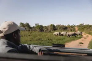 Daily game drives.
