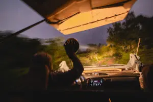 Spotlit night game drives.