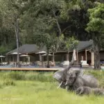La zona de la piscina de Wilderness Mara | La imagen es una representación artística.