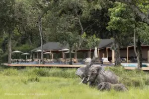The pool area at Wilderness Mara | Image is an artist's render.