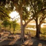 Breakfast is served under the dappled shade of trees.
