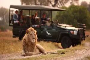 Tick iconic Big 5 from your bucket list.