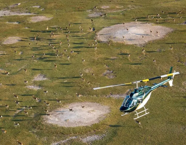 Elevate your experience with a helicopter tour. 