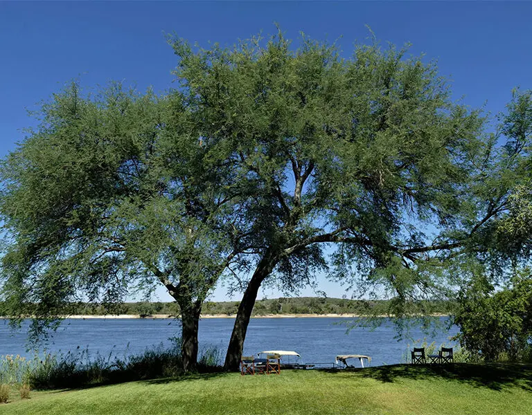 waterberry-zambezi-lodge-lawns