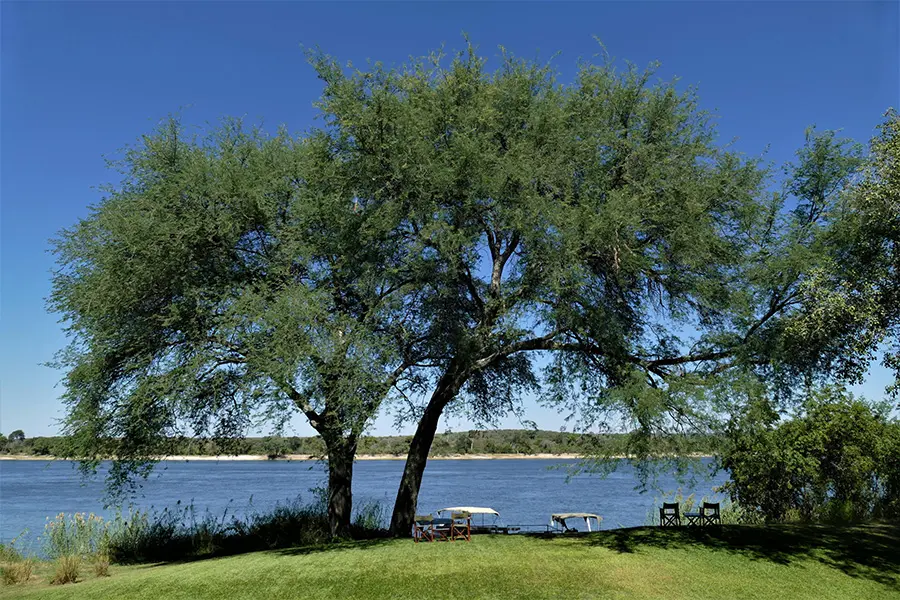 waterberry-zambezi-lodge-lawns