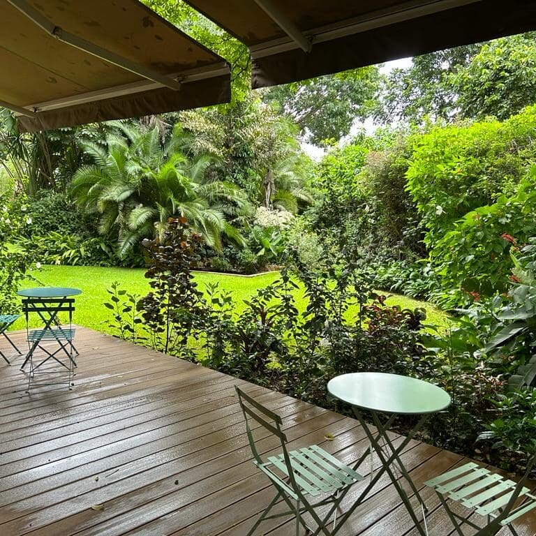 green-elephant-robin-pope-lilongwe-malawi-deck