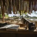 Spend an afternoon at the photography hide.