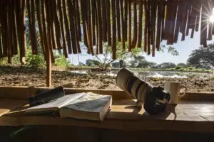Spend an afternoon at the photography hide.
