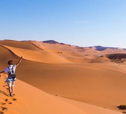 Tourist walking on the scenic dunes of Sossusvlei, Namib desert, Namib Naukluft National Park, Namibia. Afternoon light. Adventure and exploration in Africa.