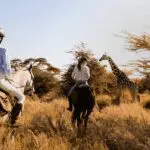 Montaria a cavalo pela região de Laikipia, Quénia, com girafas ao longe | Lewa Wilderness Lodge