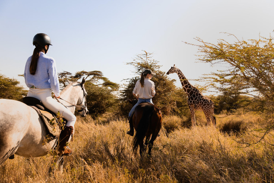Riding on horseback through Laikipia, Kenya, with giraffe in the distance | Go2Africa