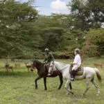 Horse riding activities are avaliable.