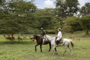Horse riding activities are avaliable.
