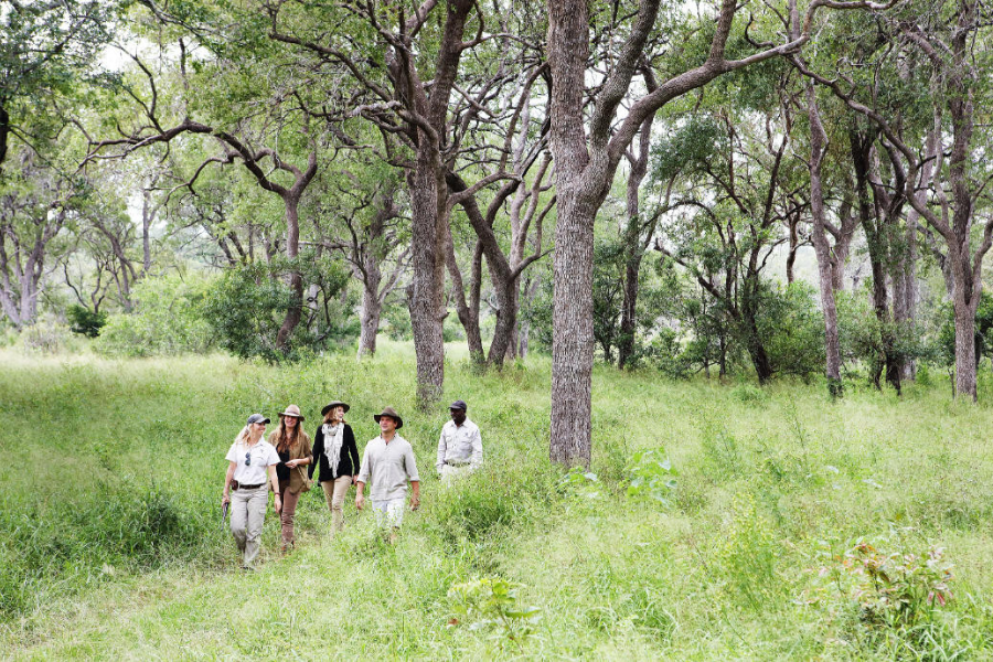 A guided walk in Kruger National Park, tracking Big 5 on foot | Go2Africa