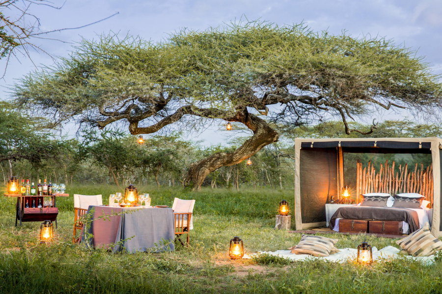 Experiência gastronómica de acampamento com mosca no Legendary Mwiba Lodge | Go2Africa