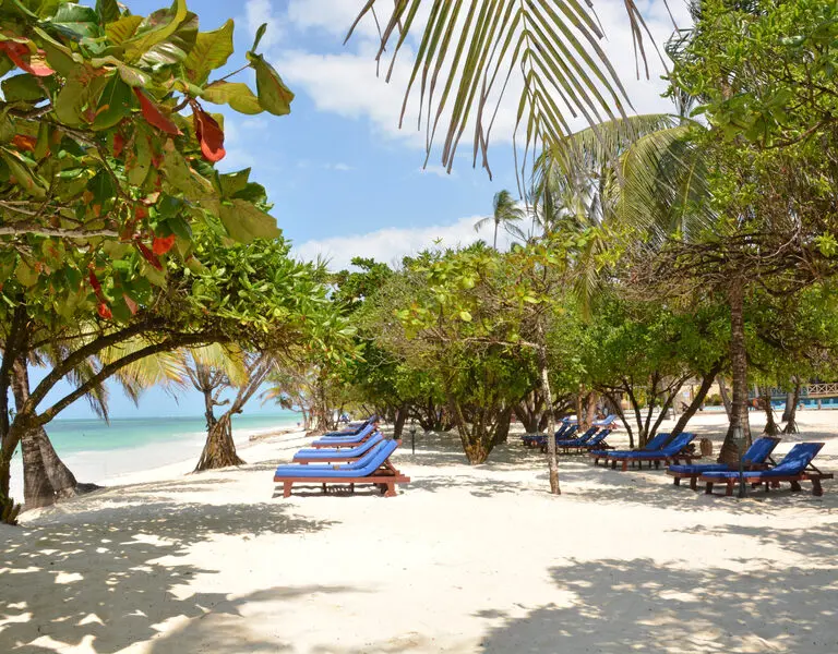 Soak in the sun from a sunlounger.