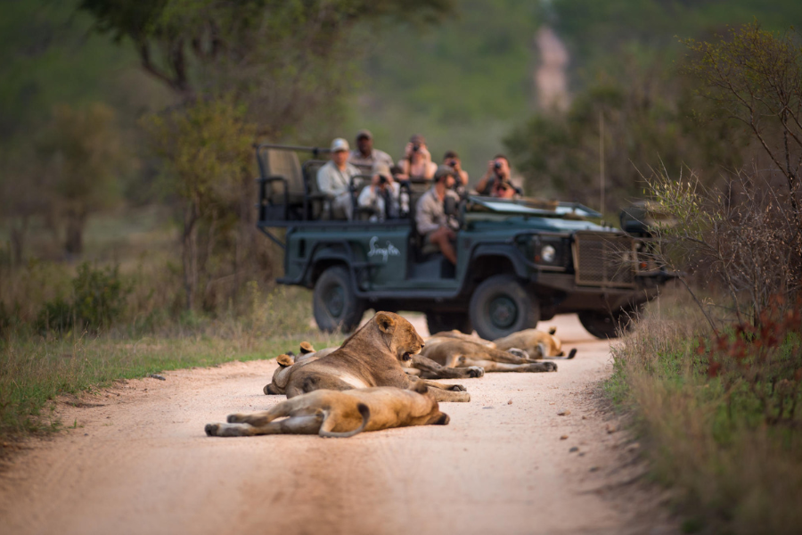 A quiet moment of wildlife viewing at a safe and respectful distance | Go2Africa