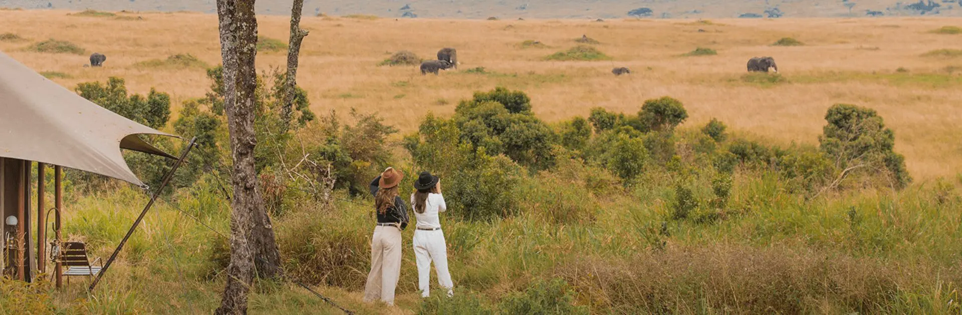 Safari tent overlooking open plains with elephants in the distance in Kenya | Go2Africa