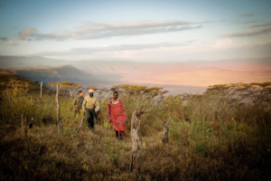 Guided walking safari in the Ngorongoro Highlands | Entamanu Ngorongoro