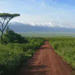 Game drive along a quiet dirt road in Ngorongoro Crater | Lemala Ngorongoro Tented Camp