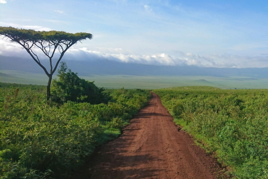 Safari vehicle driving along a quiet dirt road across the Ngorongoro Crater floor, with open plains and minimal traffic | Go2Africa