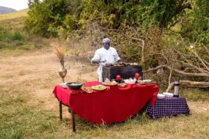 Picnic lunch during a game drive on the crater floor | Lemala Ngorongoro Tented Camp 