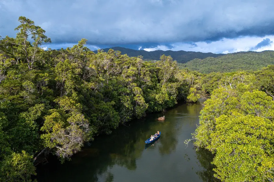 Small boat travelling along a river surrounded by dense rainforest in Madagascar | Go2Africa