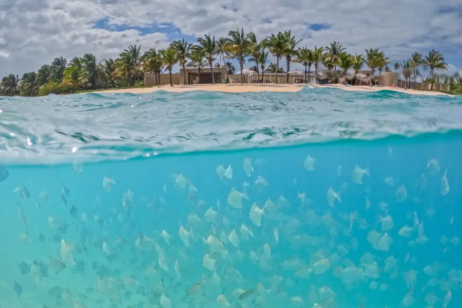 Split-level view of a tropical beach above water and fish swimming below in clear ocean | Go2Africa