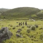 Walking through the open landscapes of the Ngorongoro Highlands | The Highlands, Asilia