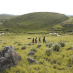 Walking through the open landscapes of the Ngorongoro Highlands | The Highlands, Asilia