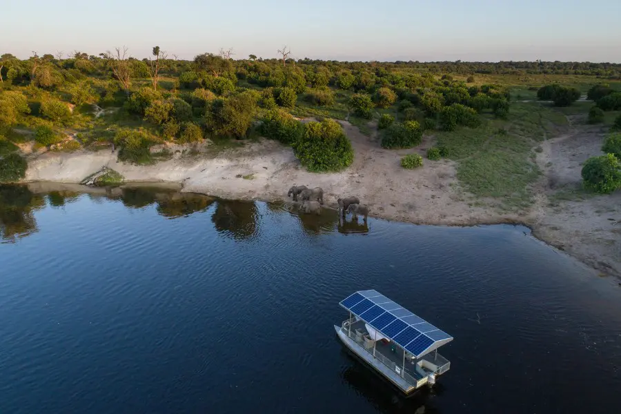 Boat safari on the Chobe River with elephants on the riverbank | Go2Africa