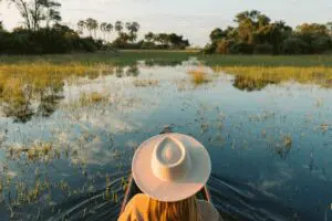Moments of stillness are part of the journey | Kwetsani Camp