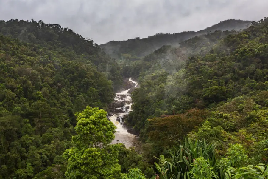 Rain forest landscape, Ranomafana, Madagascar